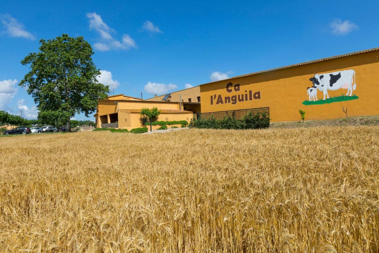 منزل الضيف بيرَتاياذا  في Turisme Rural Ca L,Anguila المظهر الخارجي الصورة